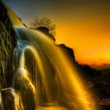 สุนิสา วงศ์ทอง avatar