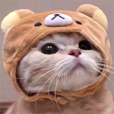 พีระพงษ์ ศรีสุข avatar