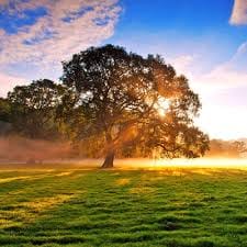 รุ่งโรจน์ มงคล avatar