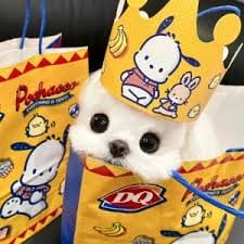 ณัฐพล ใจดี avatar