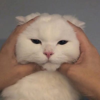 ธนภัทร แก้วมณี avatar