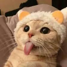 ธนาวุฒิ อุ่นใจ avatar